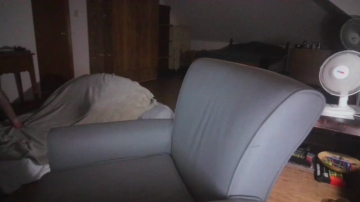 Tipp1  12-09-2021 video sexi